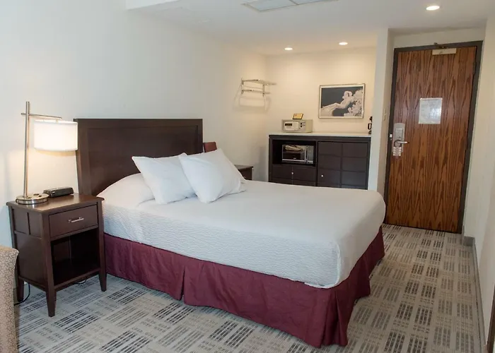 Hotel The Write 2*